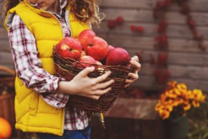 happy child girl picking fresh apples on the farm. Country living concept, growing fruits on farm