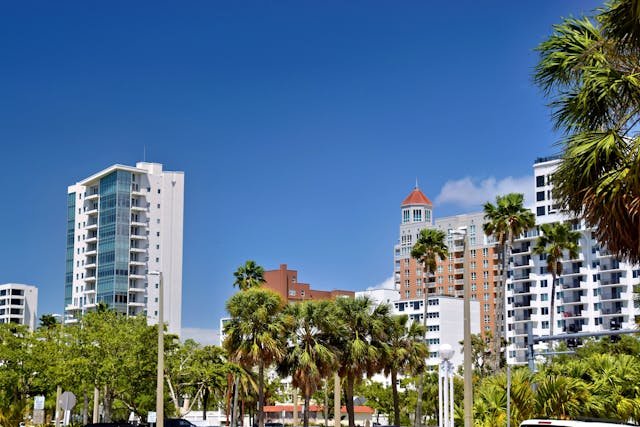 Buildings and palm trees